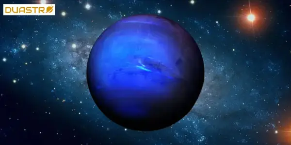 Neptunian Plants and Dreams